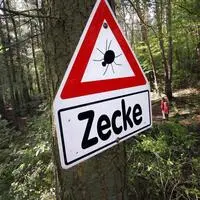 Die Zeckengrenze hat sich verschoben (Sujetbild)