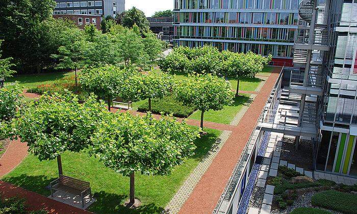 Der Dachgarten der LVM-Versicherung mit Baumbestand in Münster