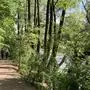 Ein Spaziergang an der Mur als naher Erholungsort 