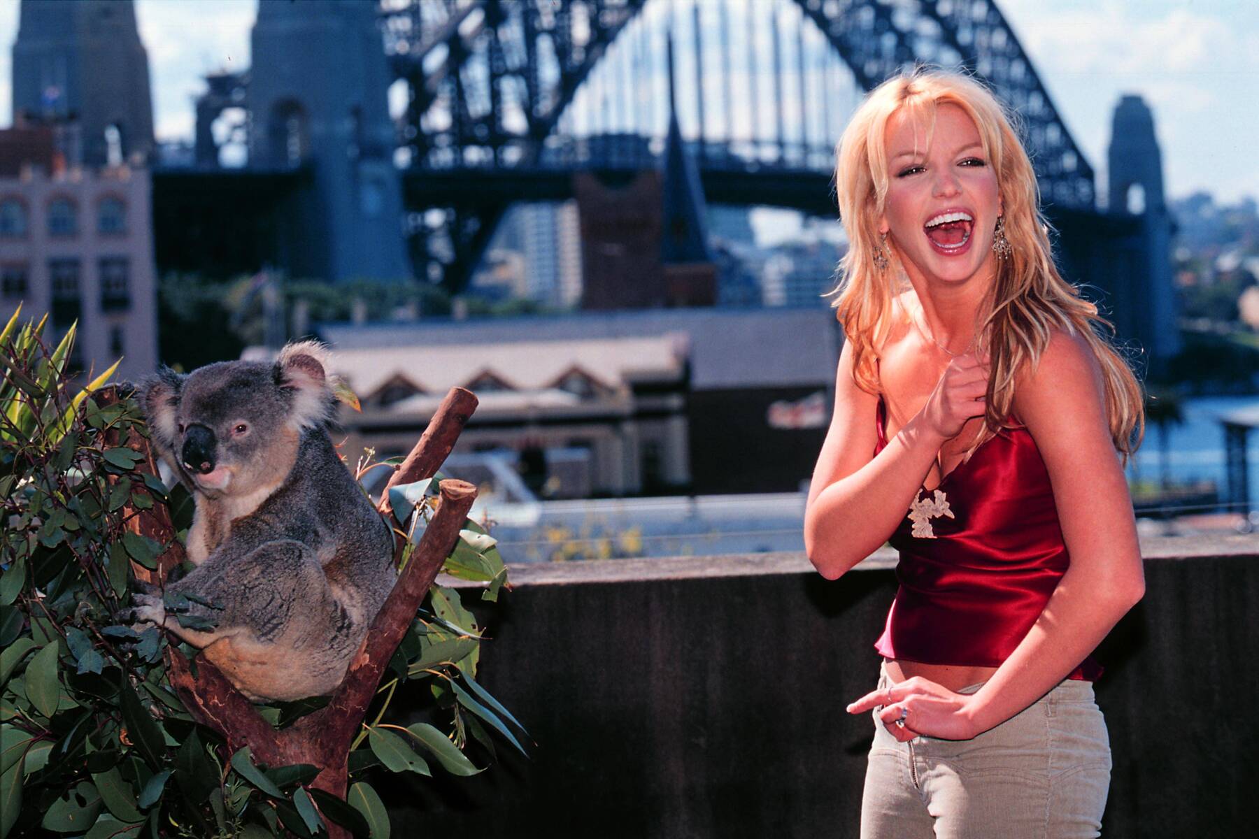 Drama um Britney Spears: Nach verstörendem Video in Entzugsklinik