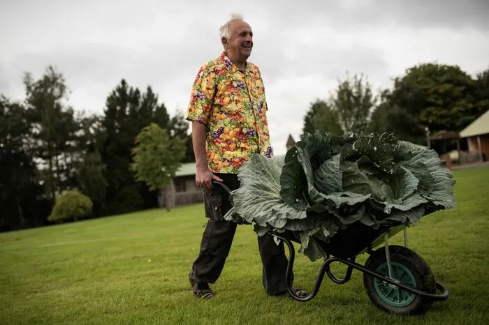 Er trug auch noch in der Kategorie "Riesenkohl" den Sieg davon: Etwas mehr als 30 Kilo wog das gute Stück.