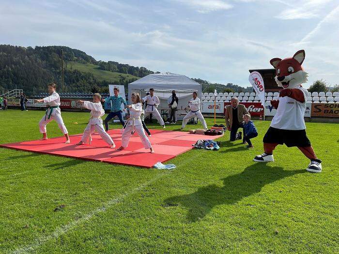 Traditioneller Taekwondo Club Feldkirchen