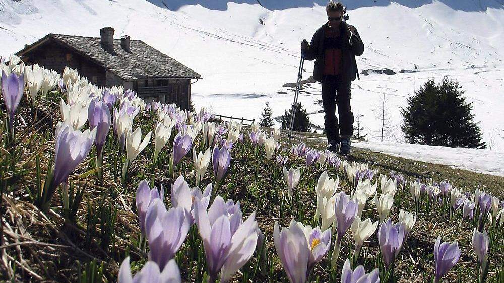 Gäste können heuer zu Ostern zwischen Winter in den Skigebieten und Frühling in den Tälern bzw. im Süden entscheiden
