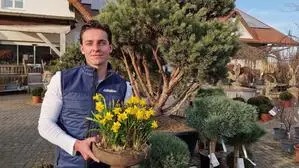 Nicolas Matzer hat den Betrieb in dritter Generation übernommen