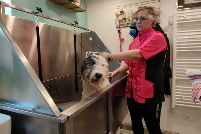 "Manche Hunde haben Angst vor Wasser, Donna aber nicht", erklärt Petrin
