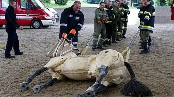 Ausbildung mit einer Lipizzaner-Attrappe aus Holz