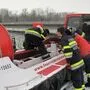 Die Feuerwehr Kalsdorf bei der Tierbergung
