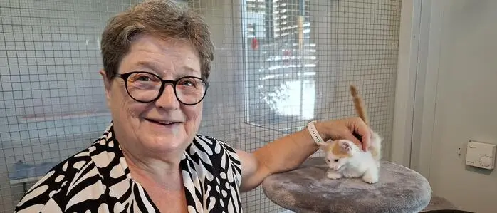 Die Weizer Katzenfreunde feiern 25-jähriges Jubiläum, hier zu sehen: Obfrau Elisabeth Sebestyen-Kropf