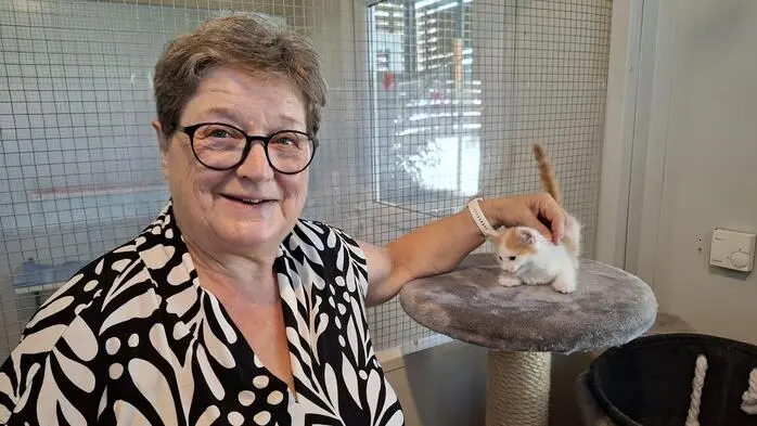 Die Weizer Katzenfreunde feiern 25-jähriges Jubiläum, hier zu sehen: Obfrau Elisabeth Sebestyen-Kropf