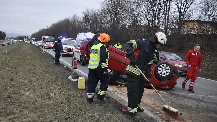 Die Freiwillige Feuerwehr Albersdorf band die ausgetretenen Betriebsmittel.