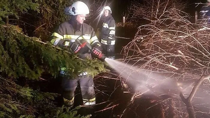Top 10: In einem Ortsteil von St. Martin am Wöllmißberg ist es zu einem Waldbrand gekommen. Wie die Flammen entstehen konnten, ist noch ungeklärt.