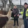 Magrid und Harald Brauchart lieben ihren Tierpark und ihre bunt gemischte „Viecherei“ 