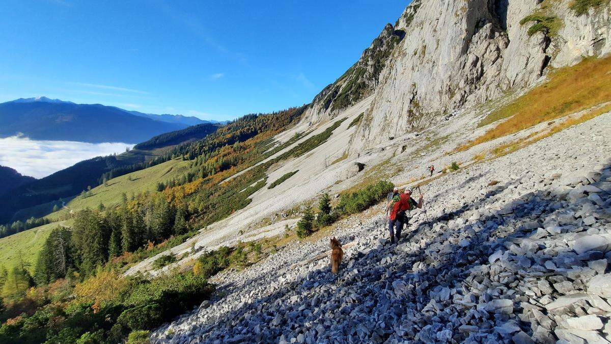 40 Bergretter und sechs Hundeführer aus dem Bezirk Liezen suchten nach vermisstem Alpinisten