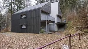 Ein schwarz-weißes Ferienhaus umringt von Laub 