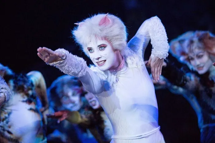 Die tierischen Vorbilder der Hauptfiguren Grizabella und Macavity hätten daran allerdings wohl kaum Vergnügen: Katzen haben ein ganz anderes Musik-Empfinden, sagte Psychologie-Professor Charles Snowdon. Sie genießen Klänge, die der Frequenz des Katzenschnurrens ähneln - etwa 1.200 Schläge pro Minute. Das Gehör von Katzen gilt zudem als hypersensibel - sie nehmen weitaus höhere Tonlagen wahr als Menschen.