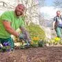 Michael Danninger und Franz Prantl beim Stiefmütterchen einsetzen im Garten von Schloss Bruck in Lienz 