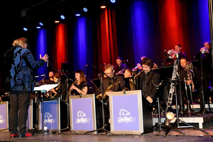 Das Orchester mit dem Dirigenten Sigi Feigl.