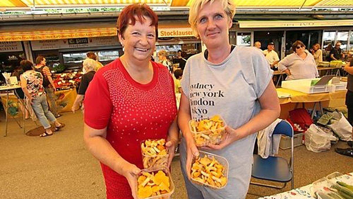 Vereinzelt werden am Benediktinermarkt in Klagenfurt bereits Eierschwammerln (jene am Foto sind von der Saualpe) angeboten