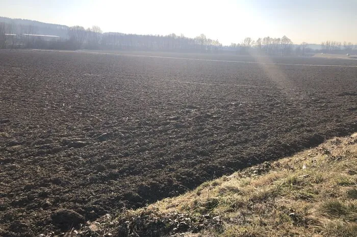 Auch in St. Ruprecht an der Raab sind die Felder braun