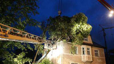 In Oberösterreich traf ein umstürzender Baum ein Haus