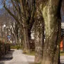 Im Stadtpark in Villach wurden Anzeigen ausgesprochen
