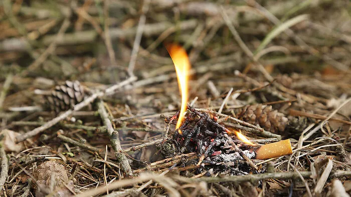 Die Waldbrandgefahr ist derzeit sehr groß