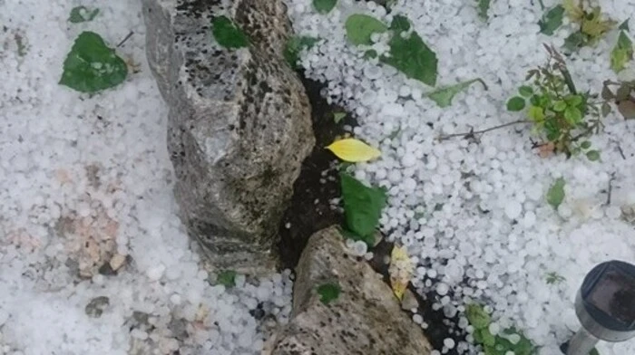Schon wieder traf ein Hagelgewitter die Steiermark. Starkregen sorgte für überschwemmte Keller. Die Feuerwehren mussten auch Straßen von umgestürzten Bäumen freilegen.