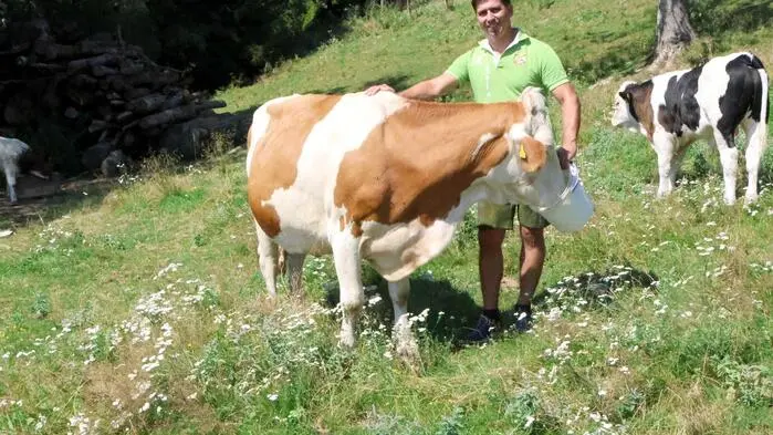 Landwirt Herwig Kircher vom Sörgerberg