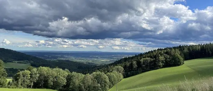 Auf dieser Wiese am Südhang des Masenbergs hätte die Motocross-Veranstaltung Mitte Juli stattfinden sollen 