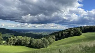 Auf dieser Wiese am Südhang des Masenbergs hätte die Motocross-Veranstaltung Mitte Juli stattfinden sollen 