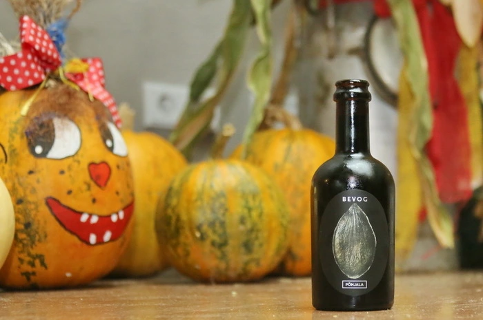 Klicken Sie sich durch die besten Fotos eines kulinarischen Herbsteinklangs!