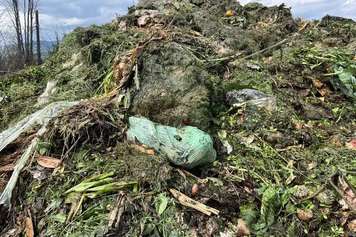 Schon jetzt erkennt man unzählige Fehlwürfe und Verunreinigungen durch Plastik oder Biomüll-Sackerl