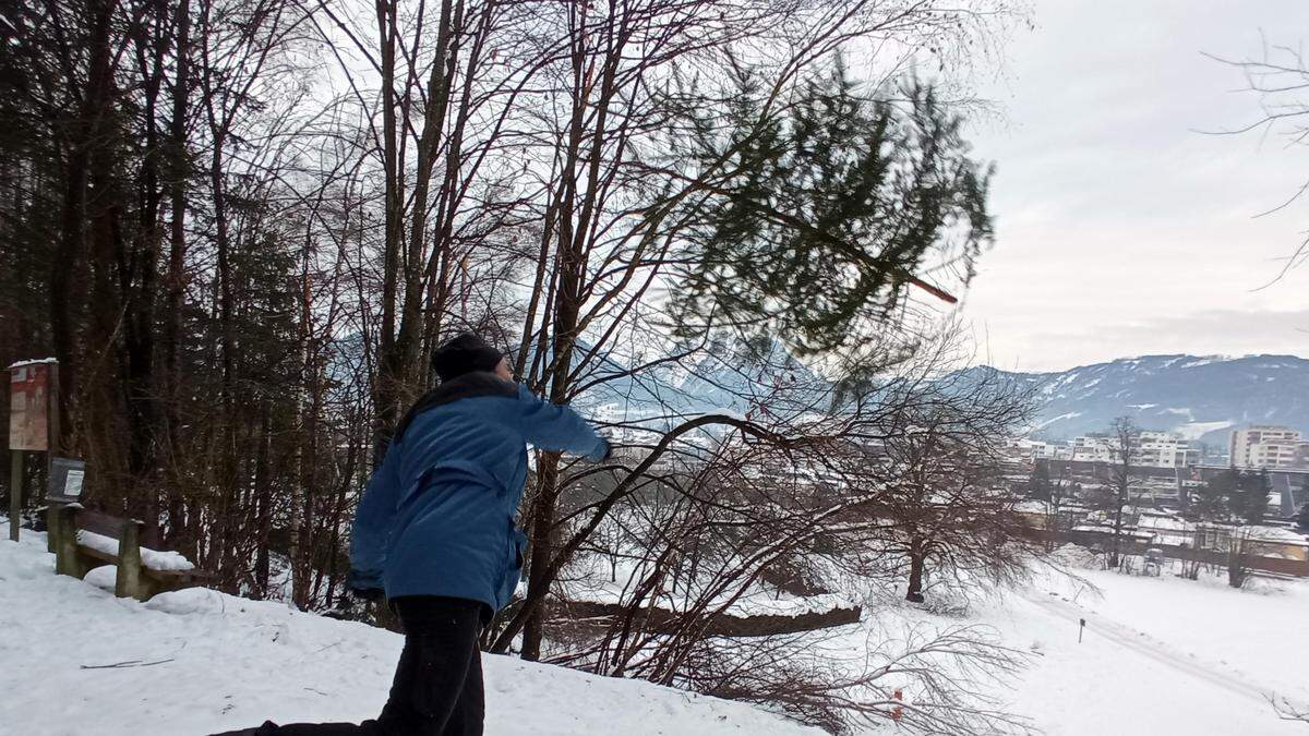 Beim ersten „Trofaiacher Knut“ der „Eisenwadln“ steht ein Christbaum-Weitwerfen am Programm