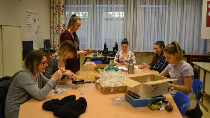 Im Rahmen des Lehrplans gründeten die Schüler des zweiten Jahrganges des Aufbaulehrganges an der HLW Hartberg in diesem Schuljahr Junior Companys.