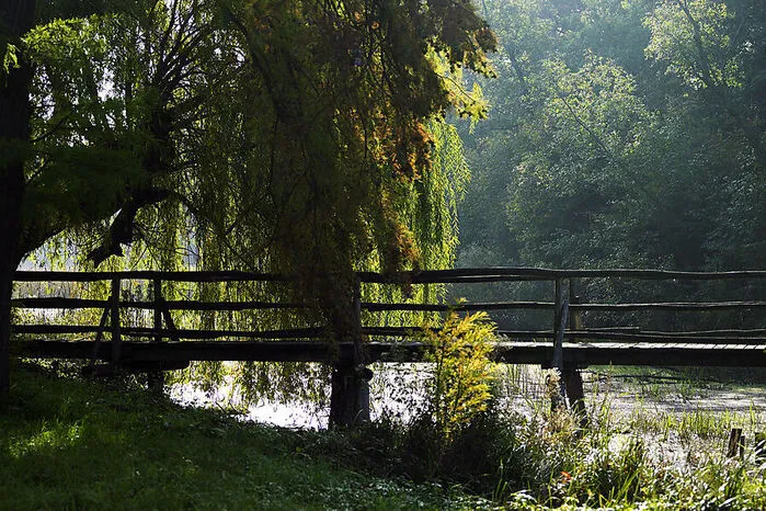 Nicht weit entfernt von Orth an der Donau ergeben Wiese, Altarm und Wald in einem imposanten Holzrahmen eingefangen ein begehbares Landschaftsgemälde – der englische Landschaftspark von Schloss Eckartsau.