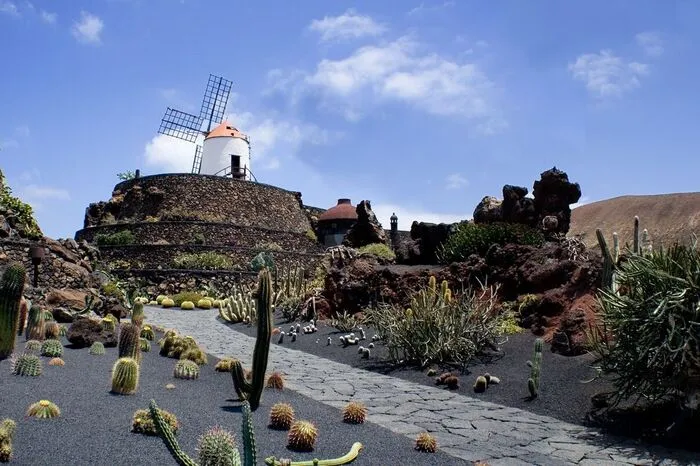4500 Kakteen in verschiedenen Formen, Farben und Größen aus aller Welt hat César Manrique im Jardín de Cactus in Guatiza im Osten Lanzarotes zusammengetragen. Der Kaktusgarten ist das letzte Werk von Lanzarotes bedeutendstem Künstler. Stets darum bemüht, Natur und Kunst harmonisch zu vereinen, legte er den Park in Form eines Amphitheaters in einem ehemaligen Steinbruch an. Neben den stacheligen Pflanzen zieren Teiche und bizarre Steinsäulen die Landschaft. Von der restaurierten Windmühle aus dem 18. Jahrhundert genießen Ausflügler den Panoramablick über die gesamte Anlage. 