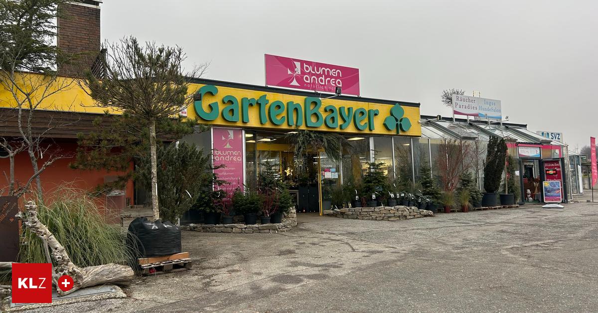 Lkw-Poolroboter-Jetzt-wird-das-Inventar-von-GartenBayer-versteigert