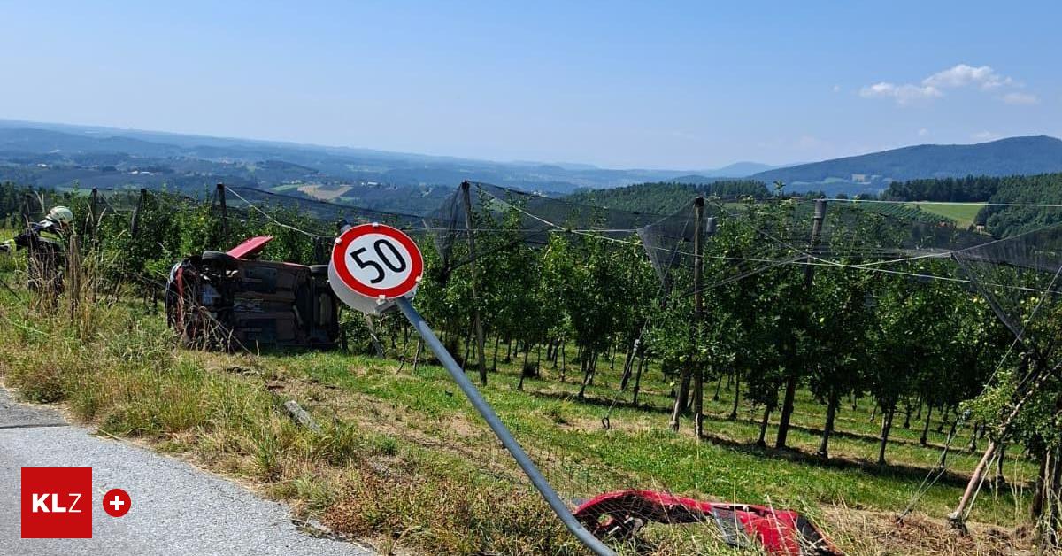 Floing-Lenkerin-kam-mit-Pkw-von-Stra-e-ab-und-landete-in-Obstanlage