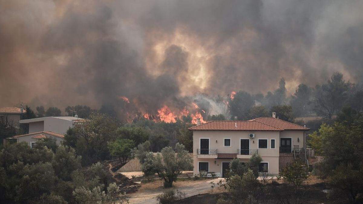 Das Feuer hat das Dorf Afidnes erreicht, das 30 Kilometer nördlich von Athen liegt