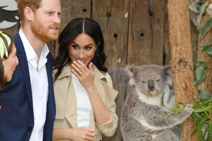 Prinz Harry und Herzogin Kate besuchten zum Beginn ihrer 16-tägigen Tour durch Australien und Ozeanien natürlich auch den Taronga Zoo von Sydney.