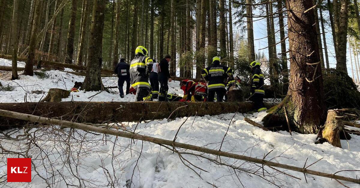 Von-Baum-getroffen-Forstarbeiter-im-steilen-Gel-nde-verletzt