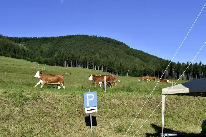 Klicken Sie sich durch die weiteren Bilder!