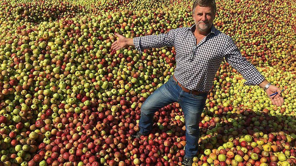 Berge voller Äpfel: Berthold Radl, Betriebsleiter von „Lavanttaler Obst“