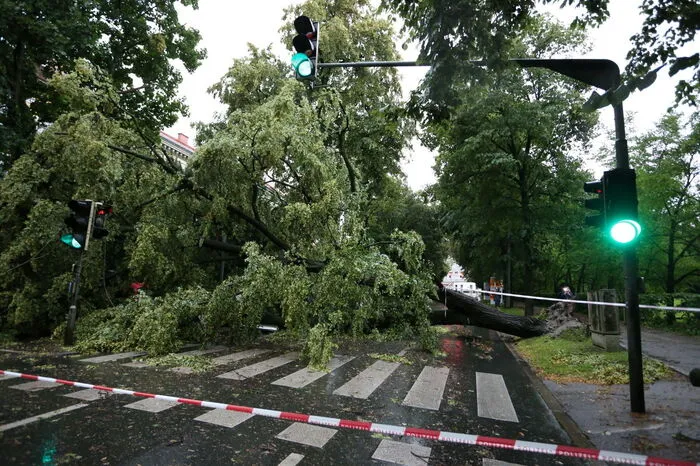 Zahllose entwurzelte Bäume lagen quer über die Straßen, wie hier die Parkstraße...
