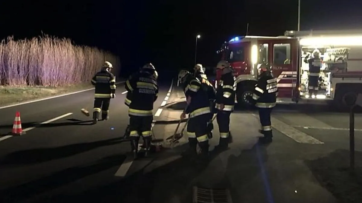 Die Feuerwehr Gussendorf reinigte die Unfallstelle