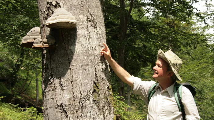 Der Erhalt der Naturdenkmäler ist Johannes Gepp, Präsident des Naturschutzbundes Steiermark, besonders wichtig