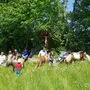 Die Mini-Ponys sind auf dem Hof der Familie Wild die großen Stars