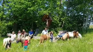 Die Mini-Ponys sind auf dem Hof der Familie Wild die großen Stars