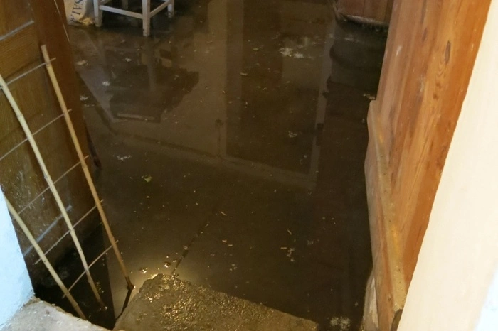 Die Stadtfeuerwehr Oberwart war mehrere Stunden mit Aufräumarbeiten beschäftigt.