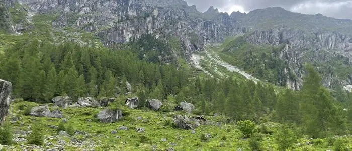 Man sieht Berge und Almen